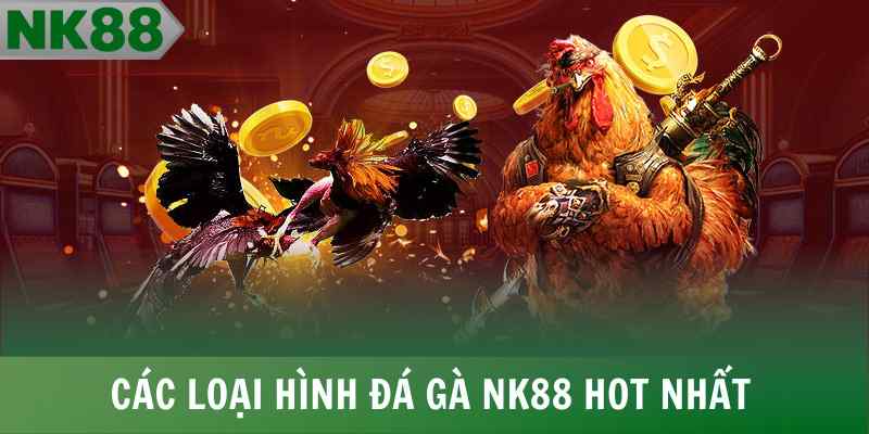 Các loại hình đá gà NK88 hot nhất