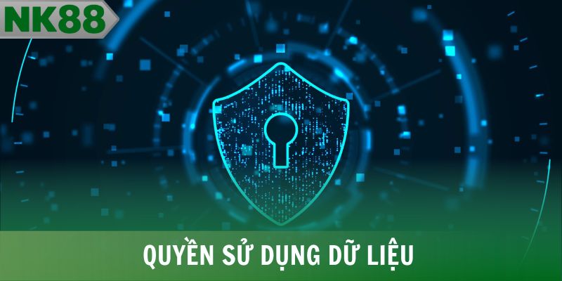 Quyền sử dụng dữ liệu