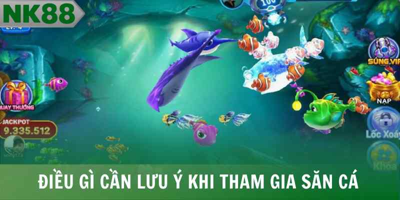 Điều gì cần lưu ý khi tham gia săn cá