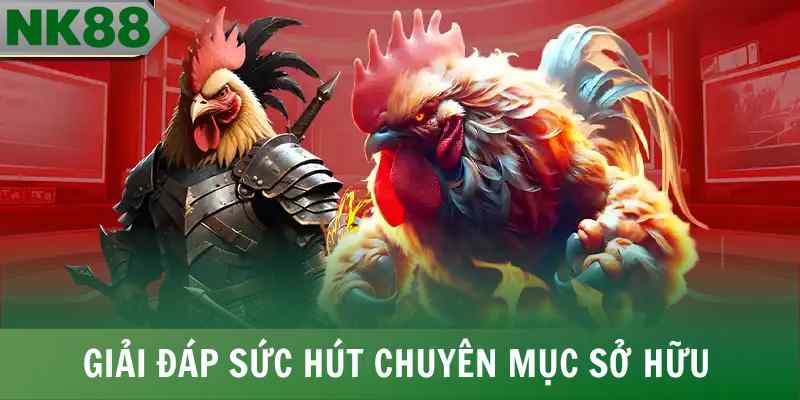 Giải đáp sức hút chuyên mục sở hữu