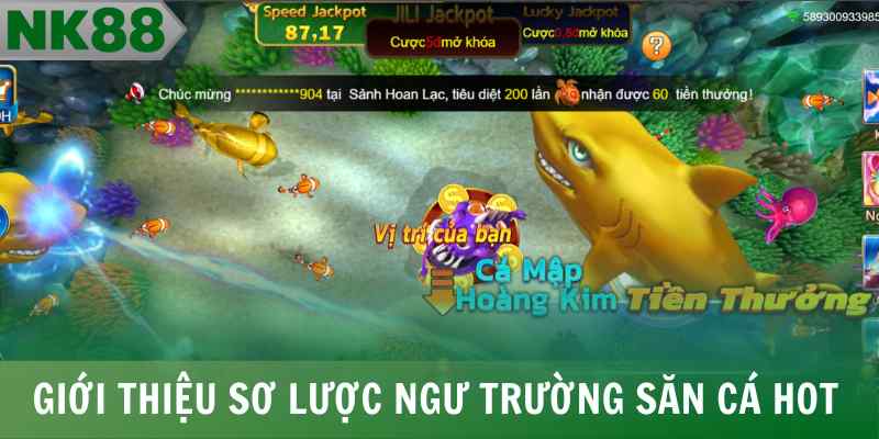 Giới thiệu sơ lược ngư trường săn cá hot