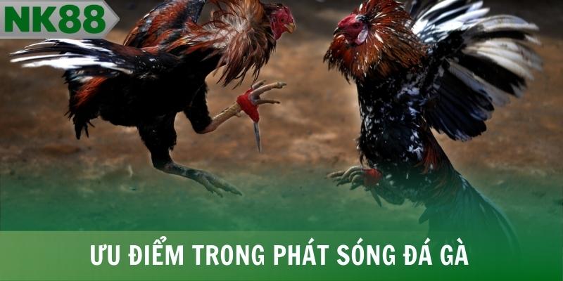 Nền tảng sở hữu nhiều ưu điểm trong phát sóng đá gà